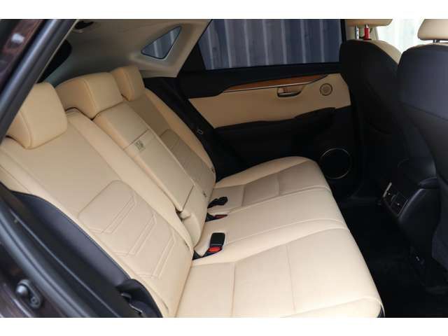 Lexus NX 2014-09 11496-16