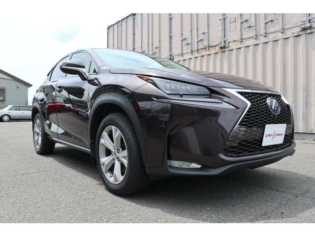 Lexus NX 2014-09 11496-5