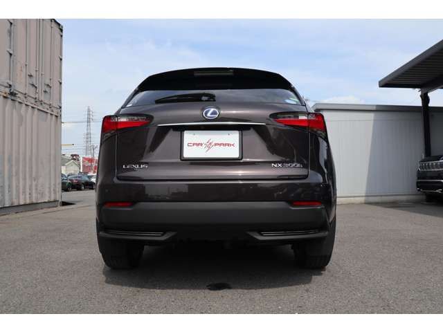 Lexus NX 2014-09 11496-15