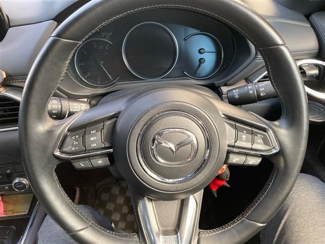 Mazda CX-8 2019-06 190404-11