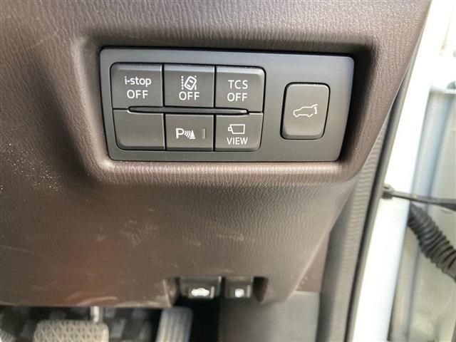 Mazda CX-8 2019-06 190404-10