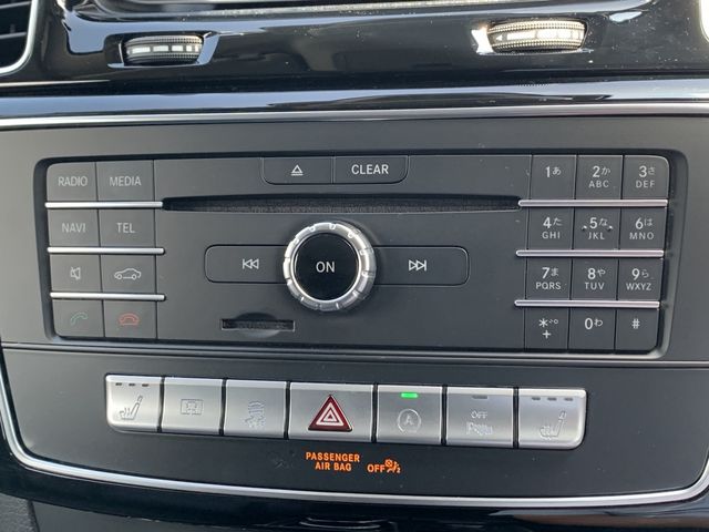 Mercedes Benz GLE-CLASS 2019-03 8882-21