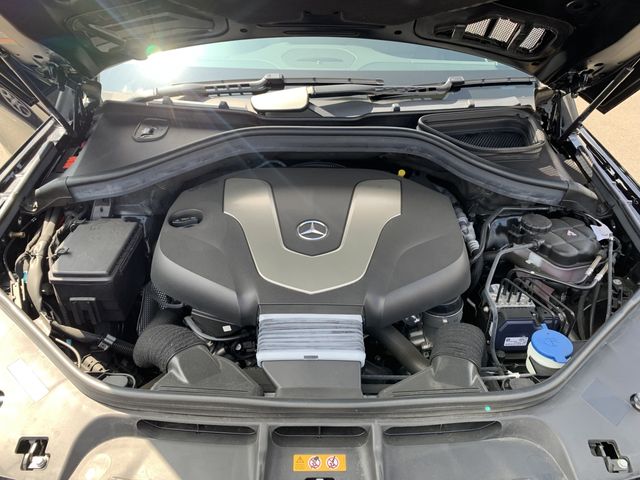 Mercedes Benz GLE-CLASS 2019-03 8882-28