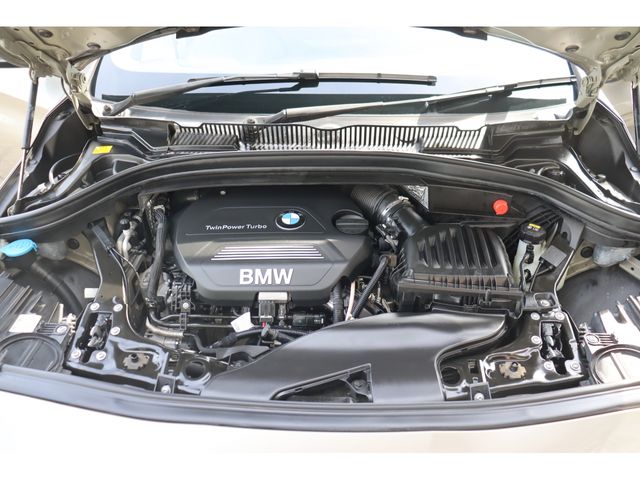 Bmw 2 SERIES 2016-01 24829-21