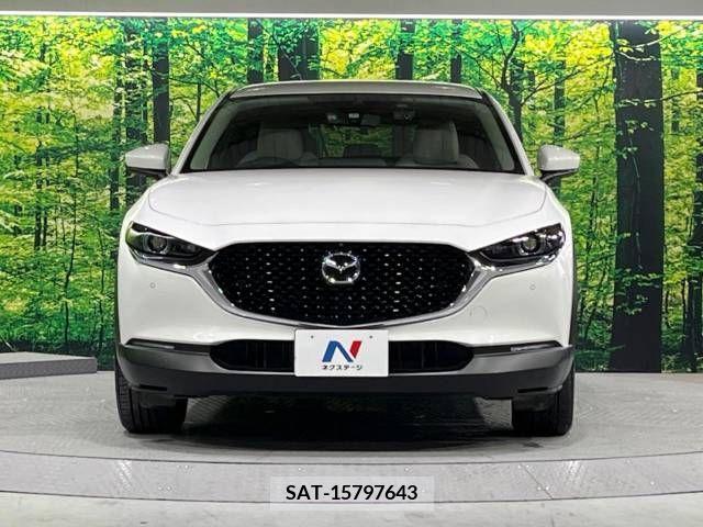 Mazda CX-30 2021-11 295605-14