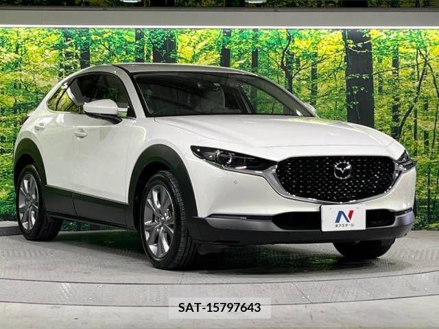 Mazda CX-30 2021-11 295605-16