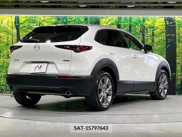 Mazda CX-30 2021-11 295605-17