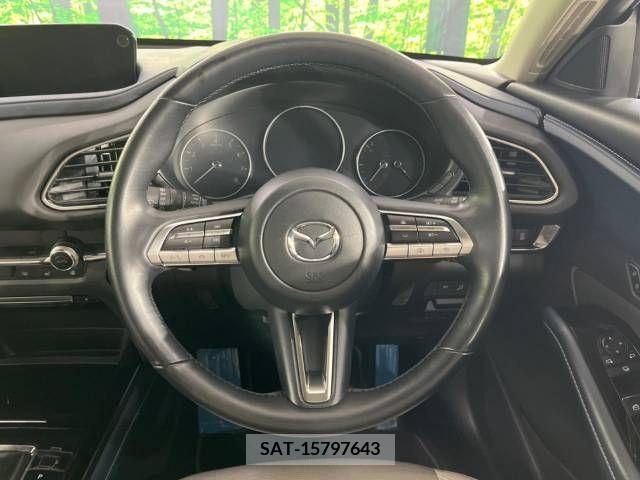 Mazda CX-30 2021-11 295605-11