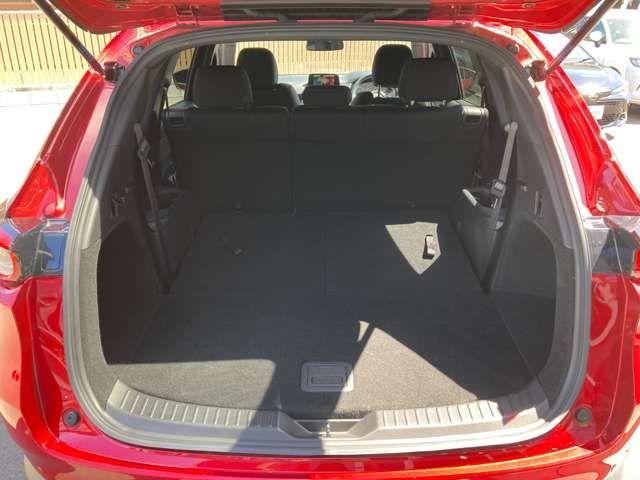 Mazda CX-8 2019-04 23929-23