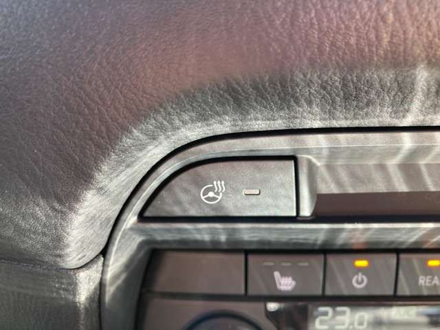Mazda CX-8 2019-04 23929-13
