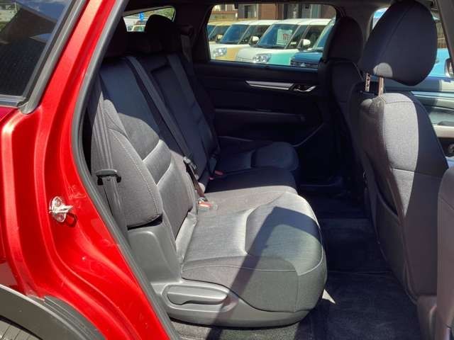 Mazda CX-8 2019-04 23929-20