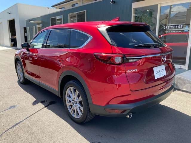 Mazda CX-8 2019-04 23929-28