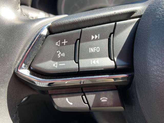 Mazda CX-8 2019-04 23929-5