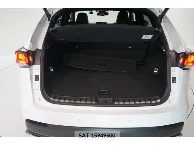 Lexus NX 2020-11 353963-18