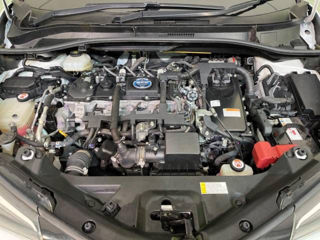 Toyota C-HR 2017-09 187982-19