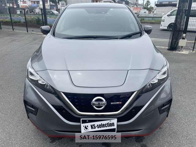 Nissan LEAF 2019-06 339713-2