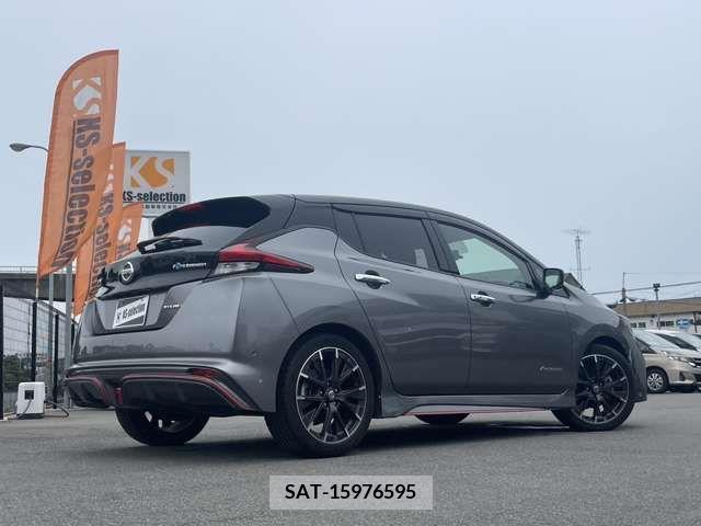 Nissan LEAF 2019-06 339713-1