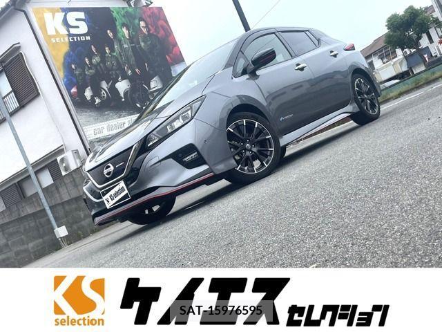 Nissan LEAF 2019-06 339713-0