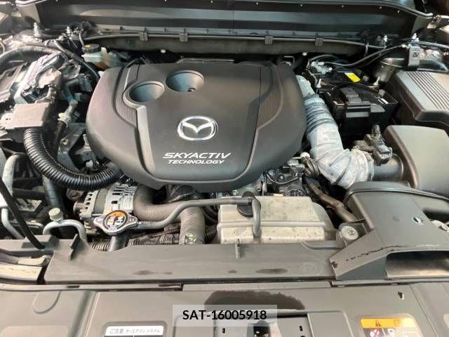 Mazda CX-8 2018-12 224106-18