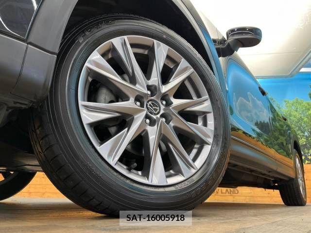Mazda CX-8 2018-12 224106-13