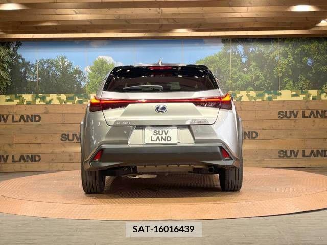 Lexus UX 2021-06 275916-16