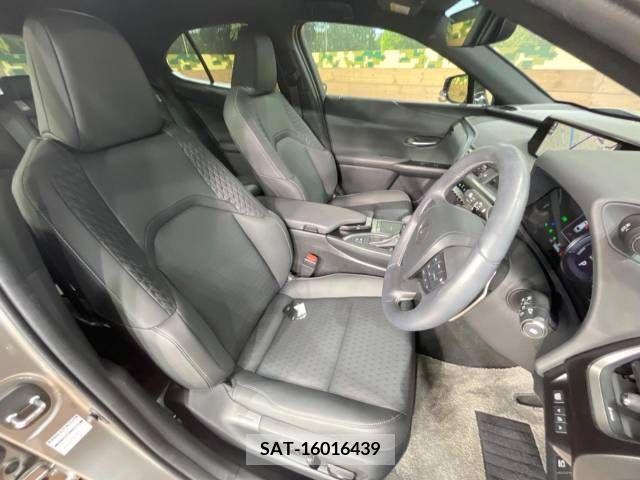 Lexus UX 2021-06 275916-13
