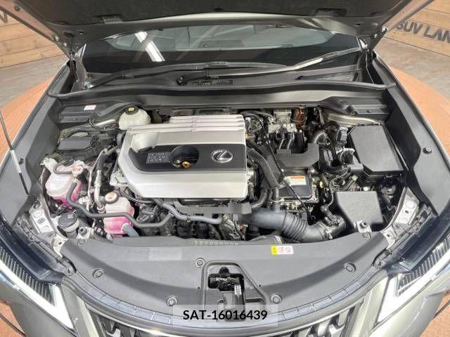 Lexus UX 2021-06 275916-11