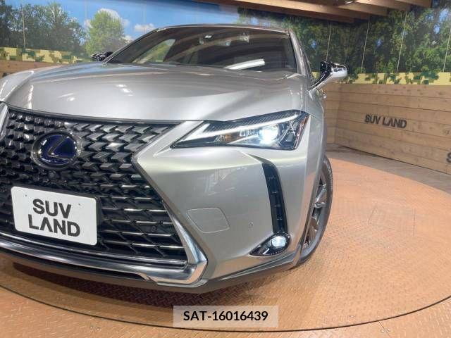 Lexus UX 2021-06 275916-9