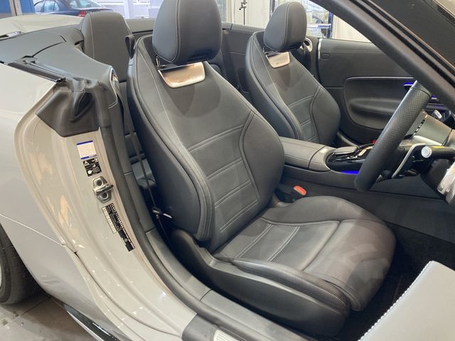 Amg SL 2022-10 4124-3