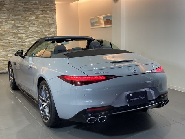 Amg SL 2022-10 4124-1