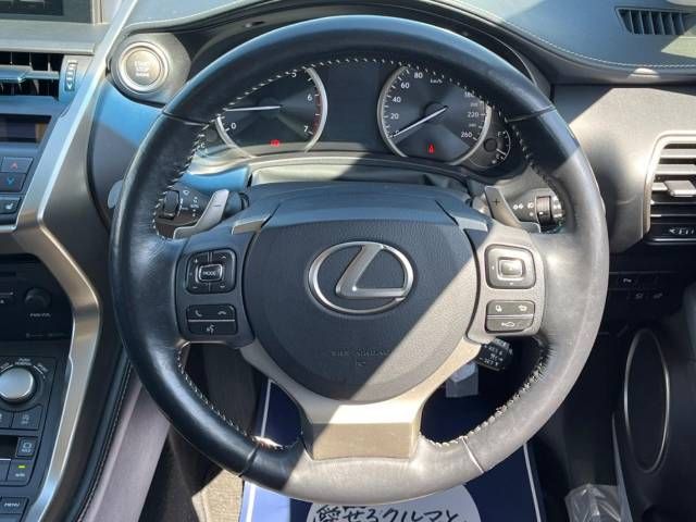 Lexus NX 2015-06 1371-11