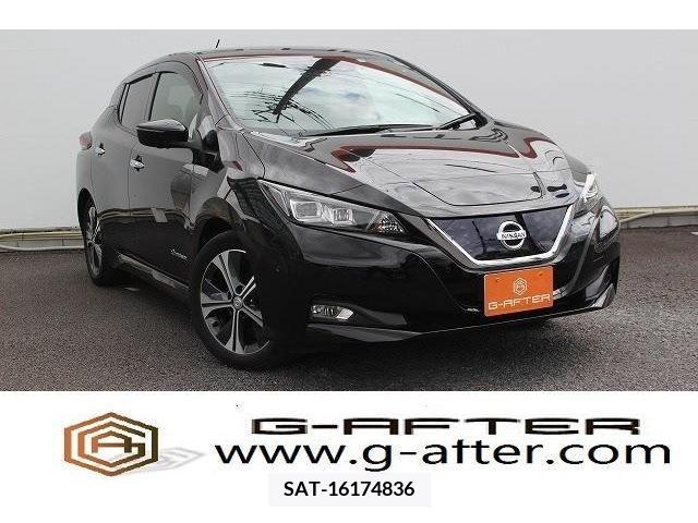 Nissan LEAF 2017-10 244129-0