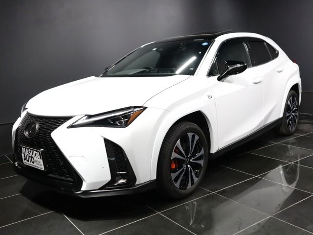 Lexus UX 2022-12 181462-0