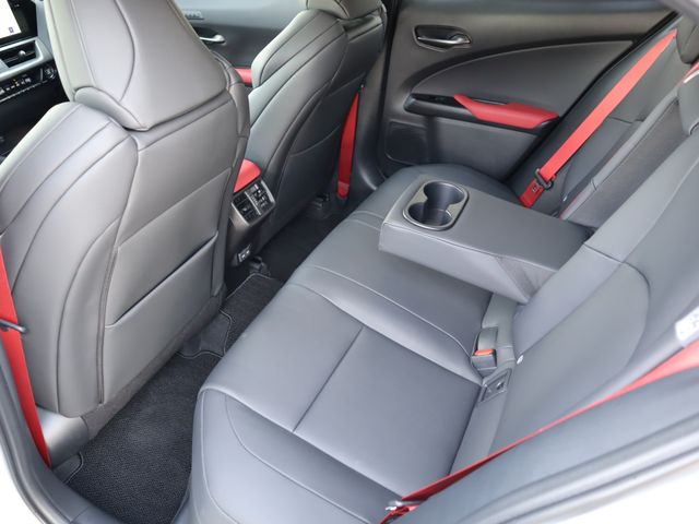 Lexus UX 2022-12 181462-11