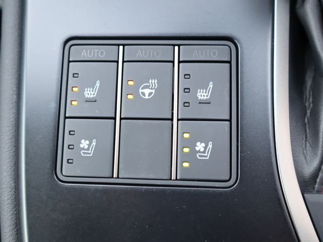 Lexus UX 2022-12 181462-16