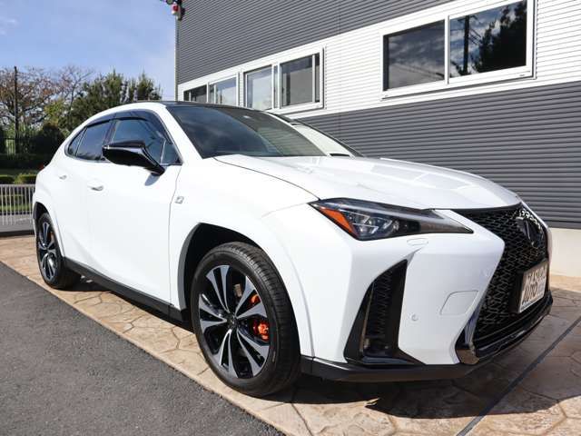 Lexus UX 2022-12 181462-2