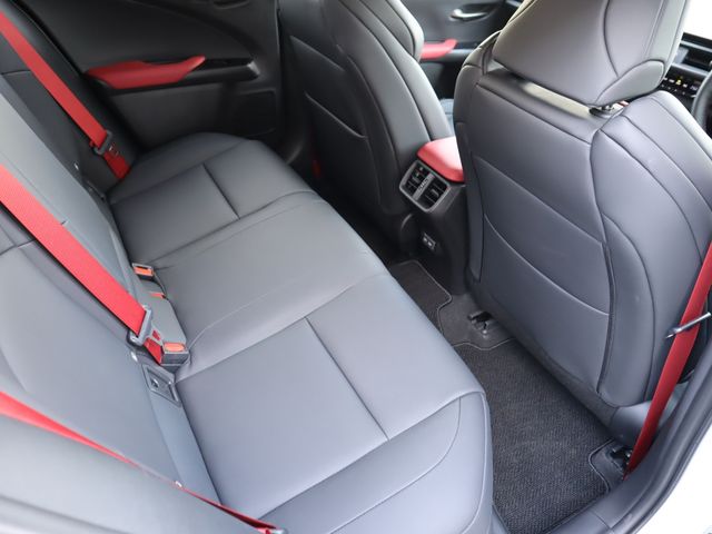 Lexus UX 2022-12 181462-10