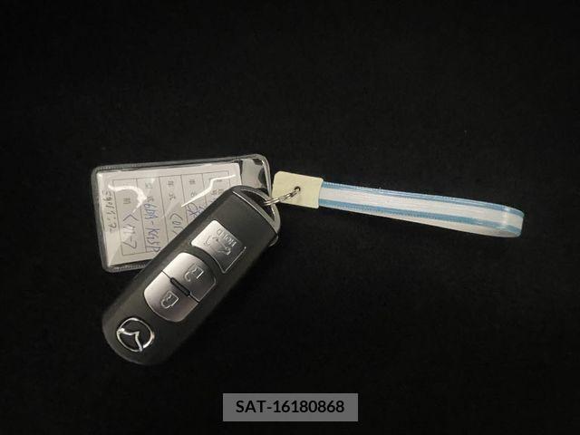 Mazda CX-8 2019-09 390271-24