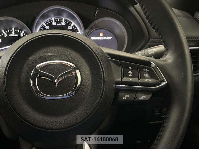 Mazda CX-8 2019-09 390271-23