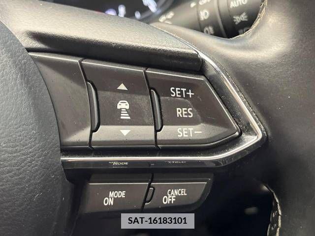 Mazda CX-8 2019-09 339743-6