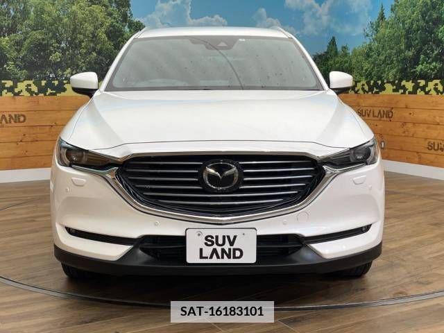 Mazda CX-8 2019-09 339743-15
