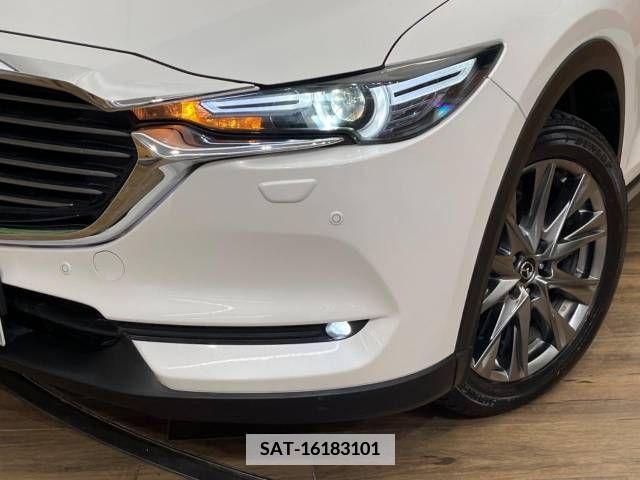 Mazda CX-8 2019-09 339743-13