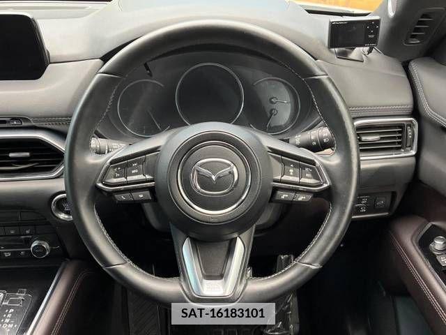 Mazda CX-8 2019-09 339743-12