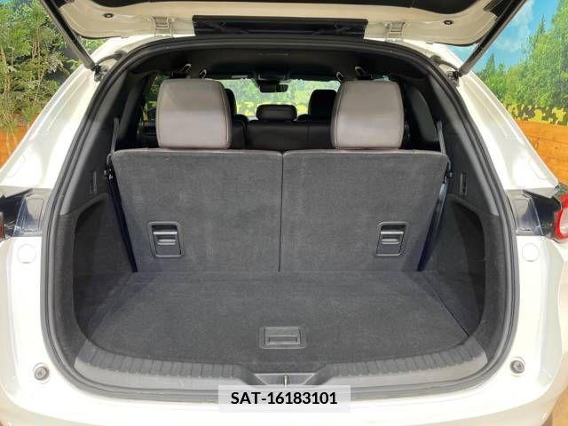 Mazda CX-8 2019-09 339743-11