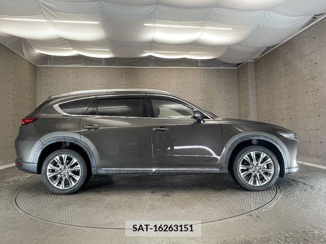 Mazda CX-8 2019-11 308568-15