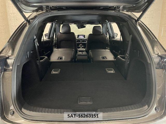 Mazda CX-8 2019-11 308568-8
