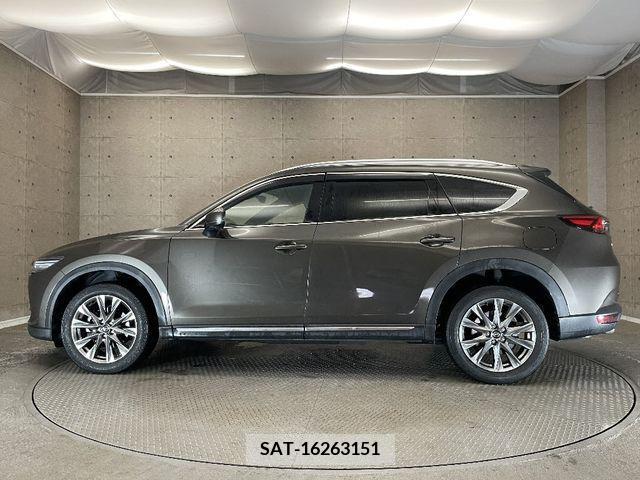 Mazda CX-8 2019-11 308568-14