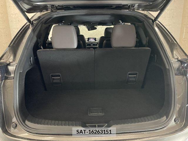 Mazda CX-8 2019-11 308568-7
