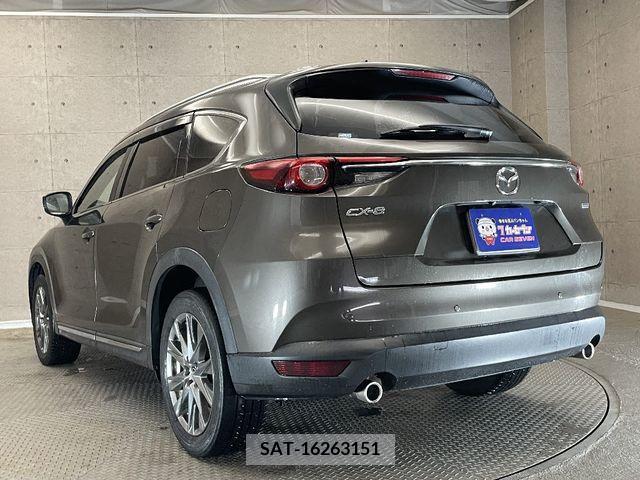 Mazda CX-8 2019-11 308568-13