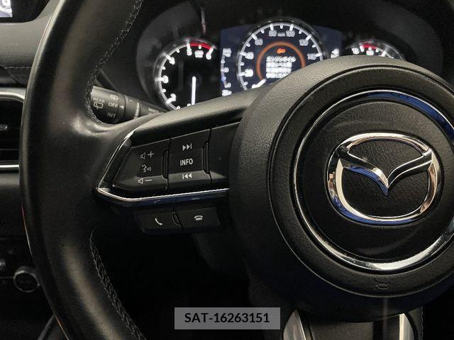 Mazda CX-8 2019-11 308568-21